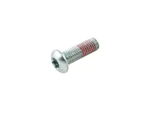 Peugeot Bult (Original) - M8x25 mm