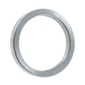 Piaggio Group Variatorring (Original)