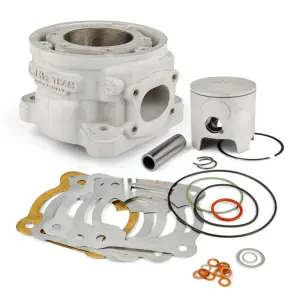 Malossi Cylinder (MHR Testa Rossa) 94cc - RC-ONE