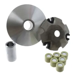Division Variator (Standard) GY6