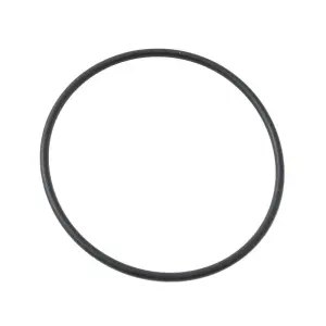 Piaggio Group O-ring (Original)