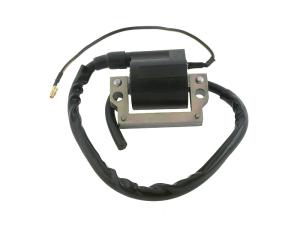 Elec Tändspole 6v (Standard)