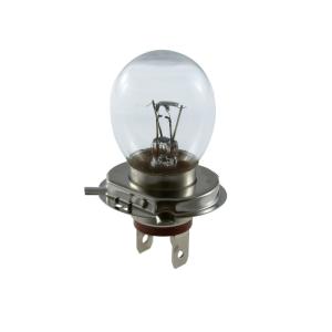SP1 Glödlampa H4 (P43t) 60/60W