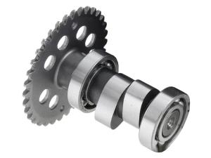 Division Kamaxel (GY6) Sport