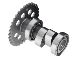 Division Kamaxel (GY6) Sport