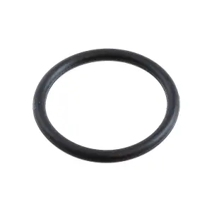 Peugeot O-ring till oljeplugg (Original)
