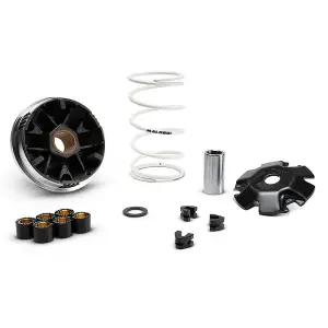 Malossi Variatorkit (Multivar 2000)