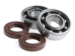 Barikit Ramlagersats (6204) TN9