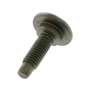 Piaggio Group Kåpskruv (Original)