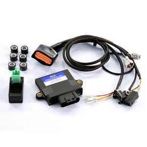 Polini Kontrollenhet ECU (Ostrypt)