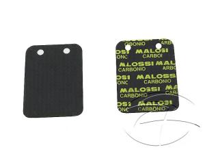 Malossi Reeds (Racing) Kolfiber 45°