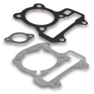 Malossi Packningssats (MAL-1116152B)