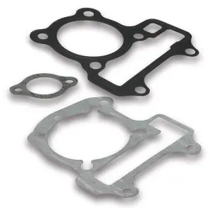 Malossi Packningssats (MAL-1116152B)