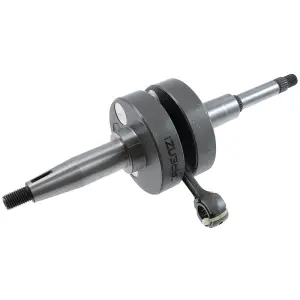 Carenzi Vevparti (Standard) - B1E40QMB