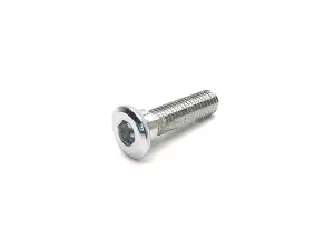 2Extreme Skruv för bromsskiva (M8x28 mm)