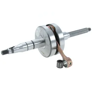 Jasil Vevparti (Evolution)