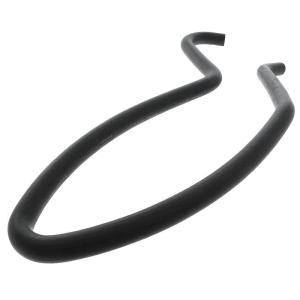 TNT Kylarslang (Standard)