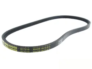 Malossi Drivrem (Special Belt) (870x13 mm)