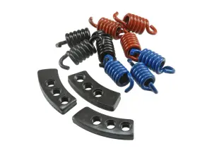 Malossi Kopplingsfjädrar (MHR)