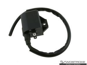 Elec Tändspole/CDI (Standard)