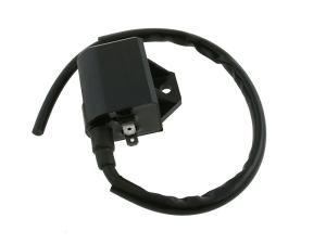 Elec Tändspole/CDI (Standard)