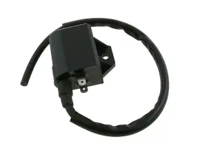Elec Tändspole/CDI (Standard)