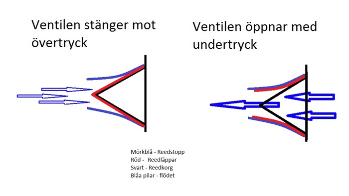 Byta redläppar i membran - Bild1