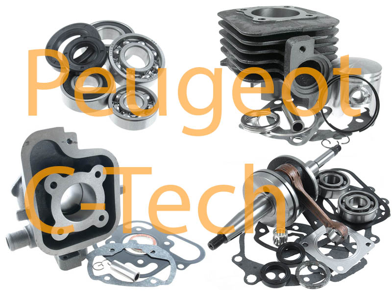 Delar vid motorrenovering (Peugeot C-Tech)