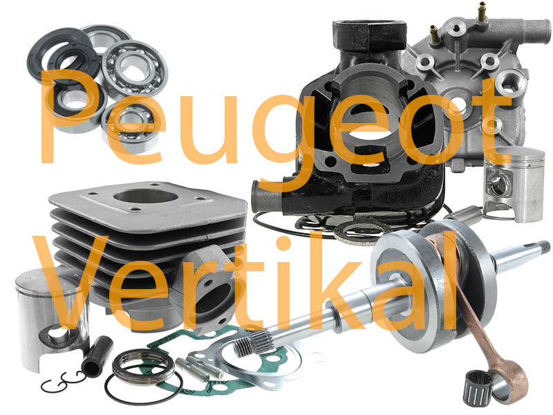 Delar vid motorrenovering (Peugeot Vertikal)