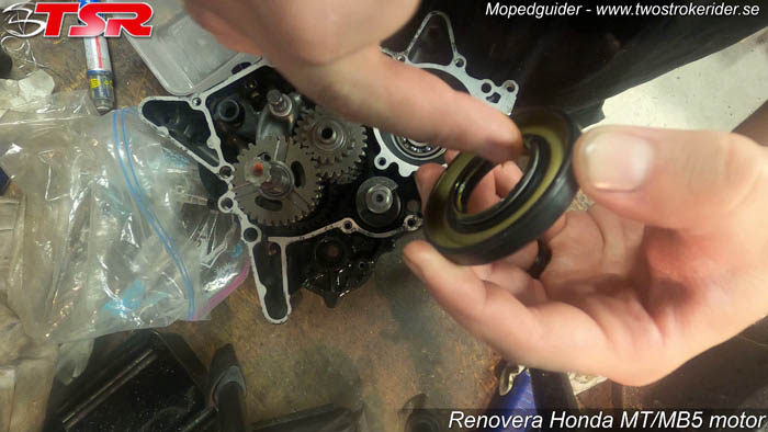 Renovera MT5-motor - Bild 97