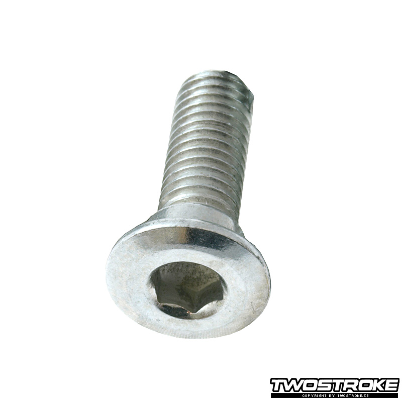101 Octane Bult för bromsskiva (Universell) M8x1,25