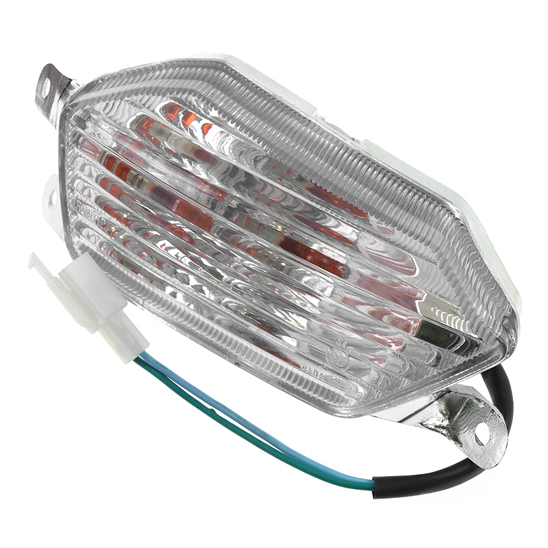 Baotian Blinkers, Bak (Original) - F3