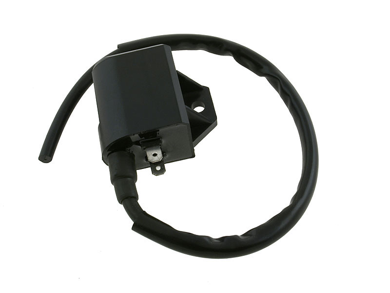 Elec Tändspole/CDI (Standard)