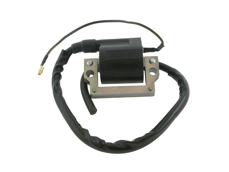 Elec Tändspole 6v (Standard)