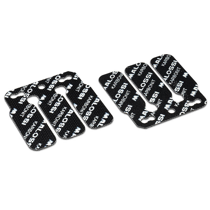 Malossi Reeds (Racing)