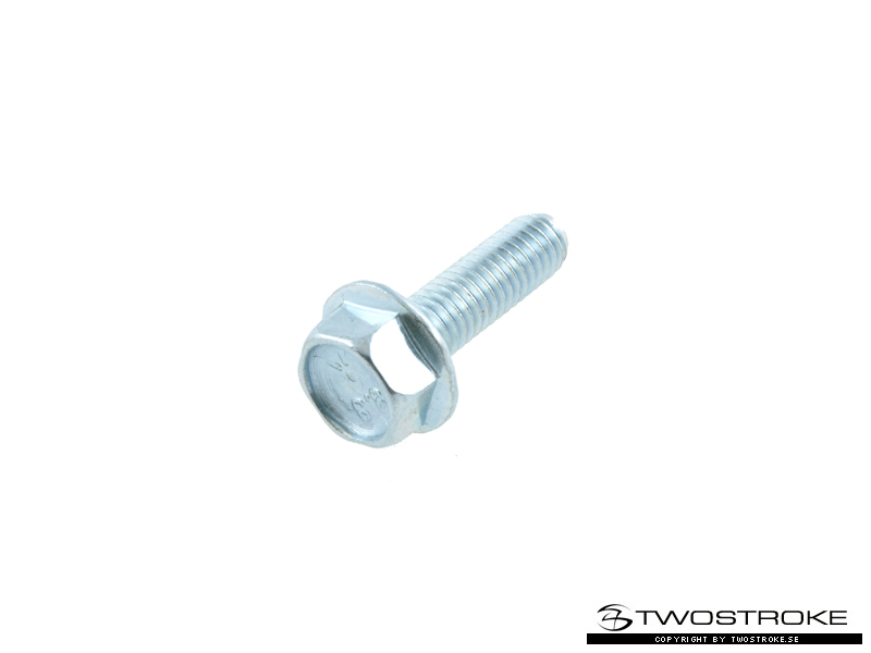 SP Bult (M6x20mm)