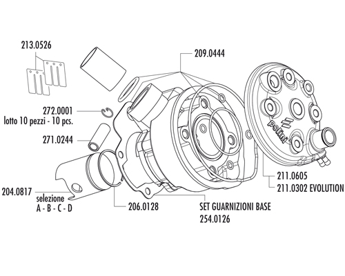 Polini Cylinderkit (Evolution) 50cc - AM6